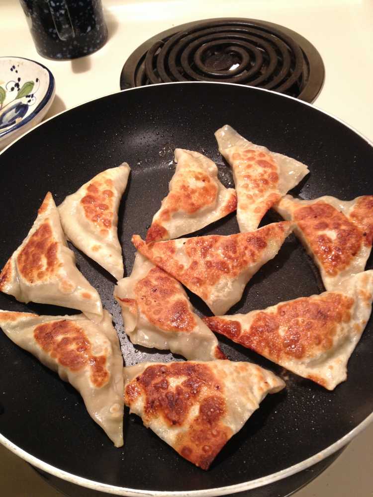 Low Fodmap Wonton Dumplings