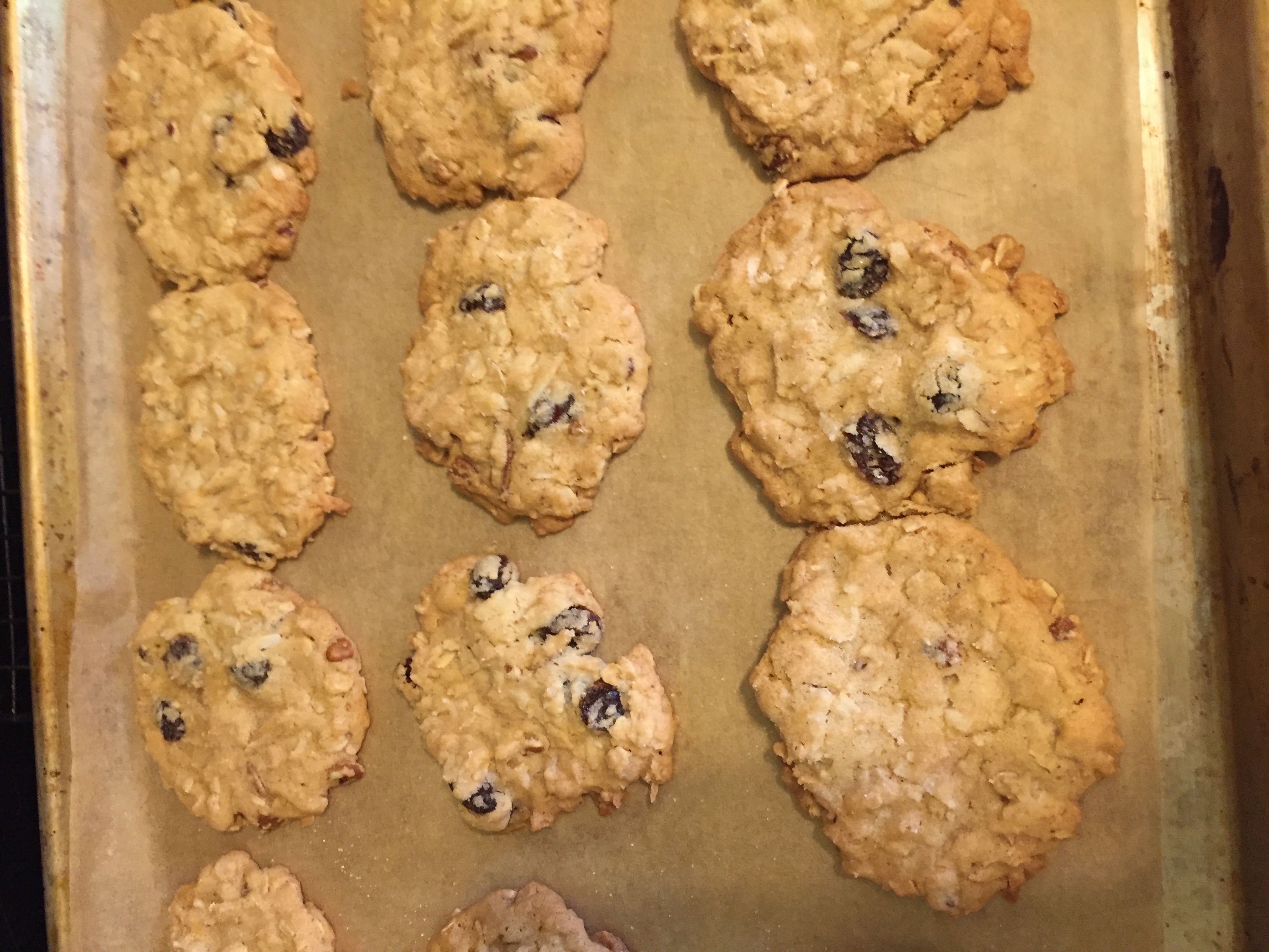 Low Fodmap Oatmeal Raisin Cookies