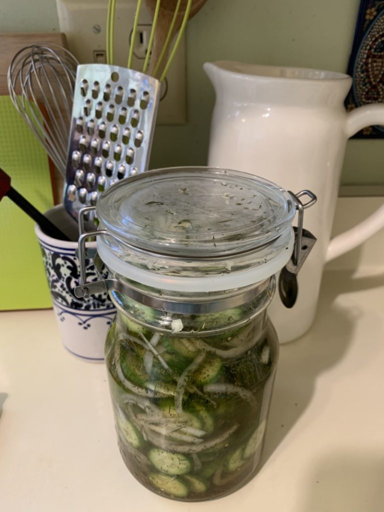 Low Fodmap Low-Salt Refrigerator Pickles