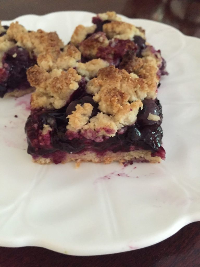 Low Fodmap Blueberry Crumb Bars