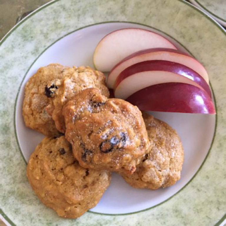 Low Fodmap Pumpkin Oatmeal Cookies